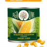 Кукуруза AGROLIVE сахарная консервированная В/С ГОСТ 425 гр